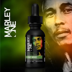 Marley One Lions Mane & Ginkgo Biloba Mushroom Tincture - One Mind